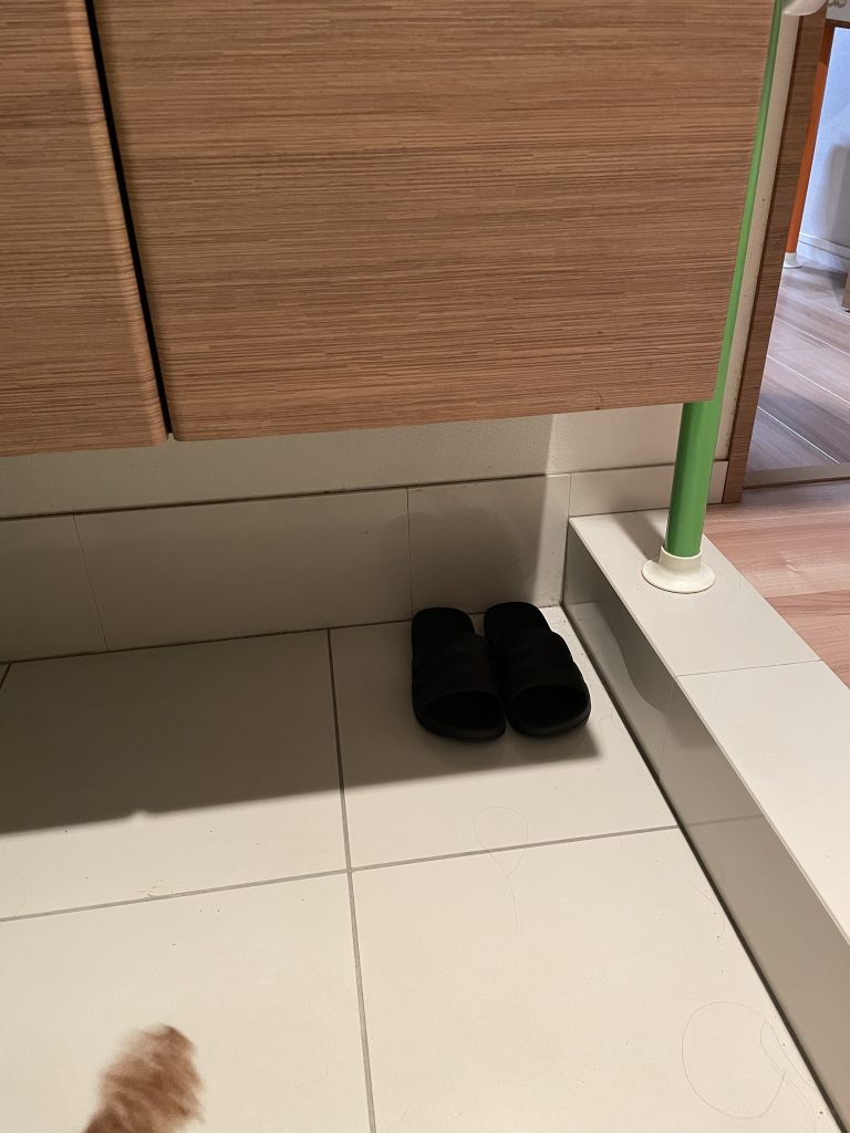 福岡　整理収納アドバイザー　玄関　黒