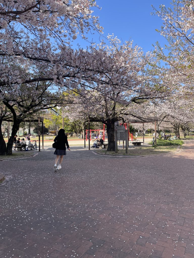 福岡 整理収納アドバイザー 桜 入学式