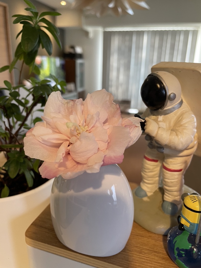 福岡　整理収納アドバイザー　トトノウラボ　快適な暮らし